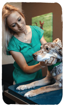 Chanel Baron - East Padden Animal Hospital