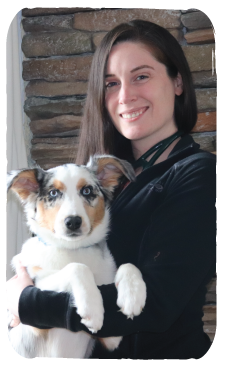 Vet Near Me 98682 - East Padden Animal Hospital Vet Near Me 98682 - East Padden Animal Hospital